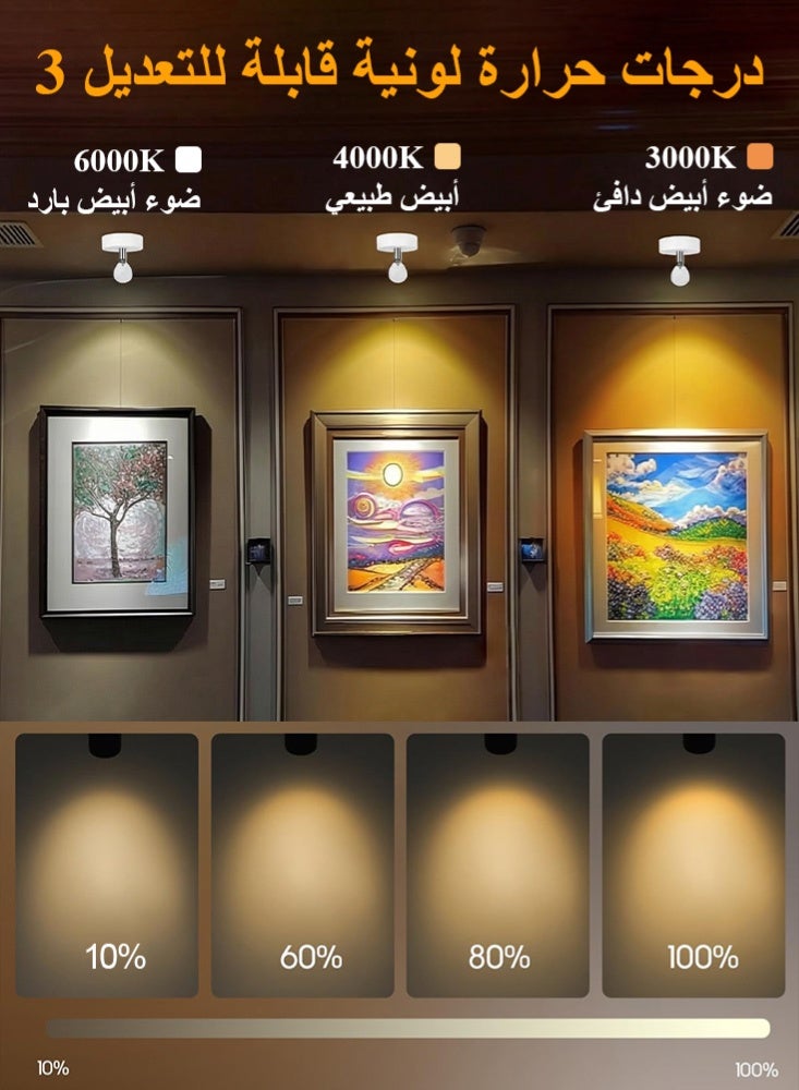 فلوكسهوم عبوتان من كشاف LED داخلي يعمل بالبطارية، إضاءة جدارية فنية صغيرة لاسلكية مع جهاز تحكم عن بُعد ومؤقت قابل للتعديل، إضاءة علوية صغيرة قابلة للتعتيم لعرض النباتات واللوحات الفنية والصور والخزائن (أبيض) - Image 3